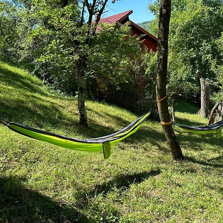 Villa Casa Lupilor Transfagarasan Căpăţîneni-Ungureni Exterior foto