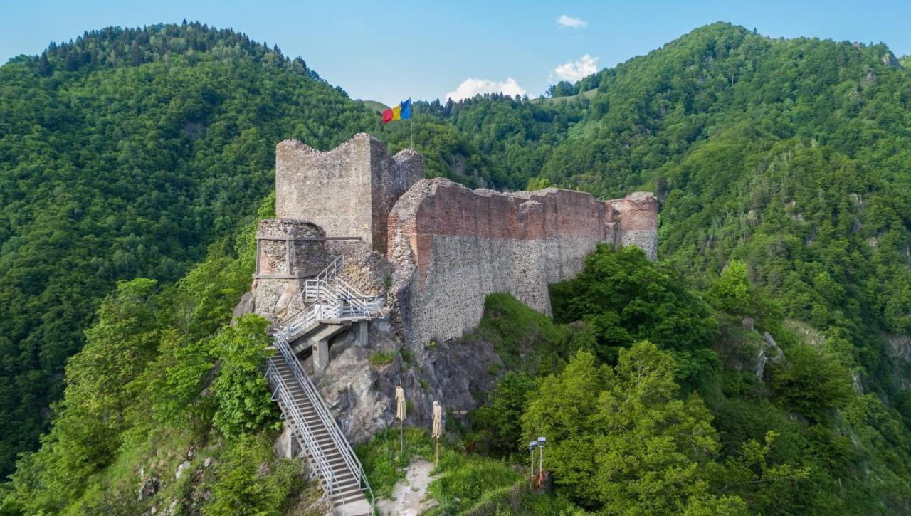 Villa Casa Lupilor Transfagarasan Căpăţîneni-Ungureni Exterior foto