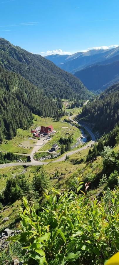 Villa Casa Lupilor Transfagarasan Căpăţîneni-Ungureni Exterior foto