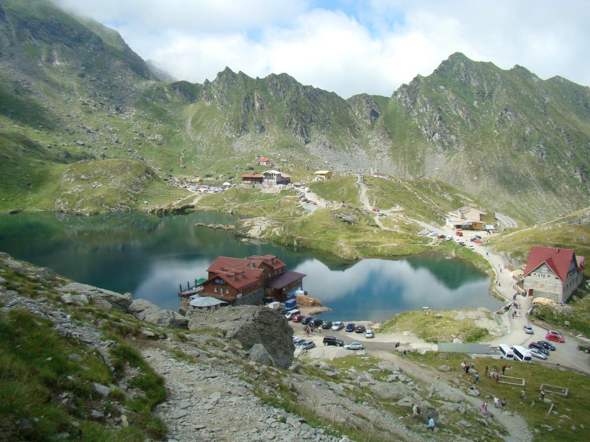Villa Casa Lupilor Transfagarasan Căpăţîneni-Ungureni Exterior foto