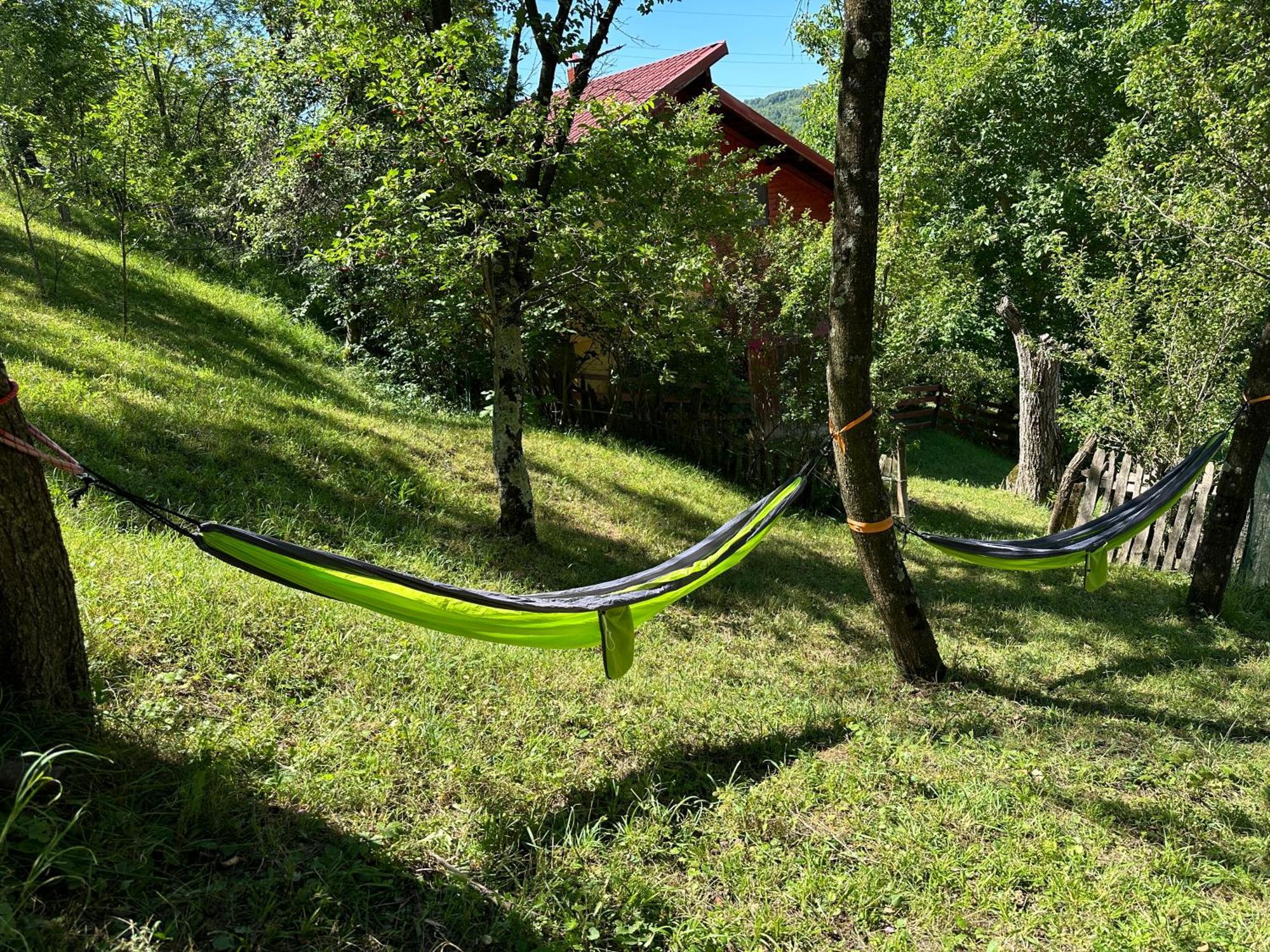 Villa Casa Lupilor Transfagarasan Căpăţîneni-Ungureni Exterior foto