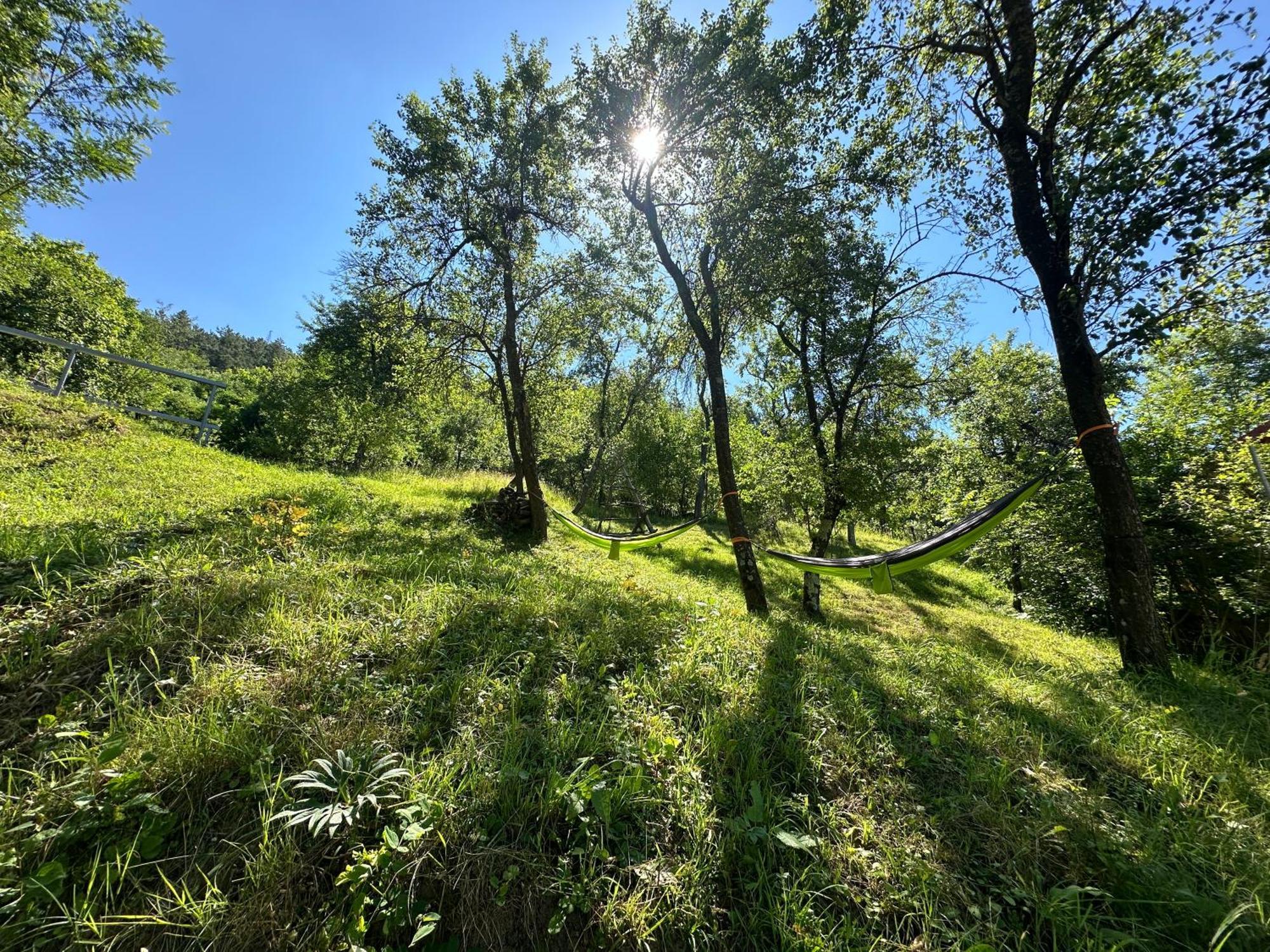 Villa Casa Lupilor Transfagarasan Căpăţîneni-Ungureni Exterior foto